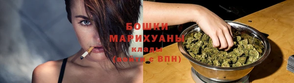 ПСИЛОЦИБИНОВЫЕ ГРИБЫ Нязепетровск
