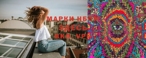 ПСИЛОЦИБИНОВЫЕ ГРИБЫ Нязепетровск
