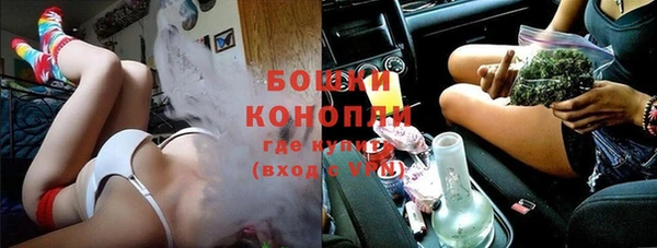 шишки Нягань