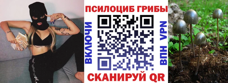 Галлюциногенные грибы прущие грибы  где купить   MEGA как войти  Кирсанов 