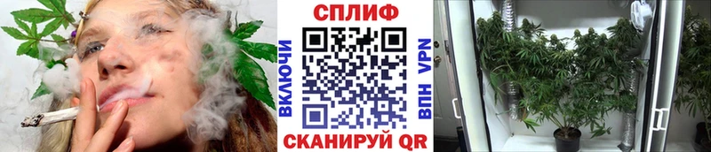Конопля OG Kush дарк нет как зайти Кирсанов